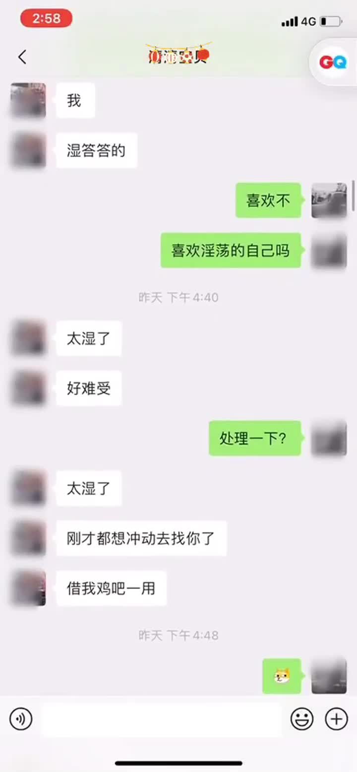 2月4日 (17).mp4