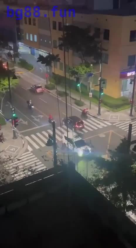 40511156_9835.mp4