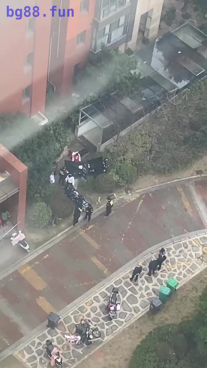 2024-03-18 15.11.48.mp4