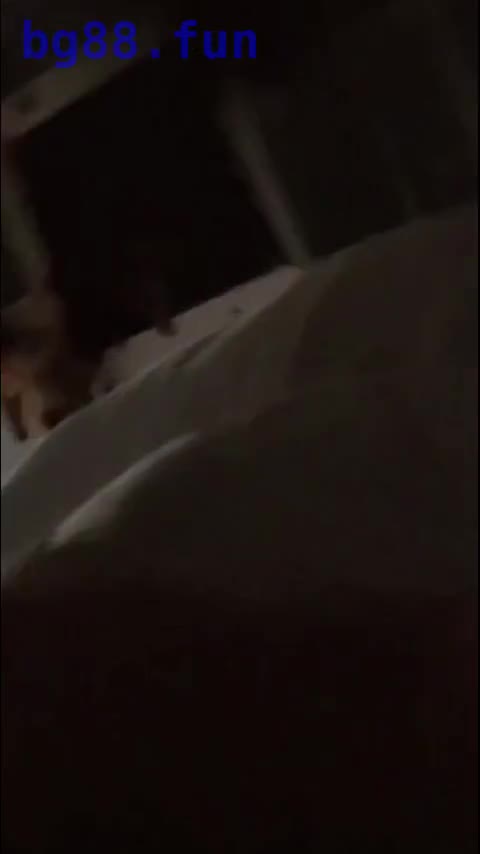3月29日.mp4