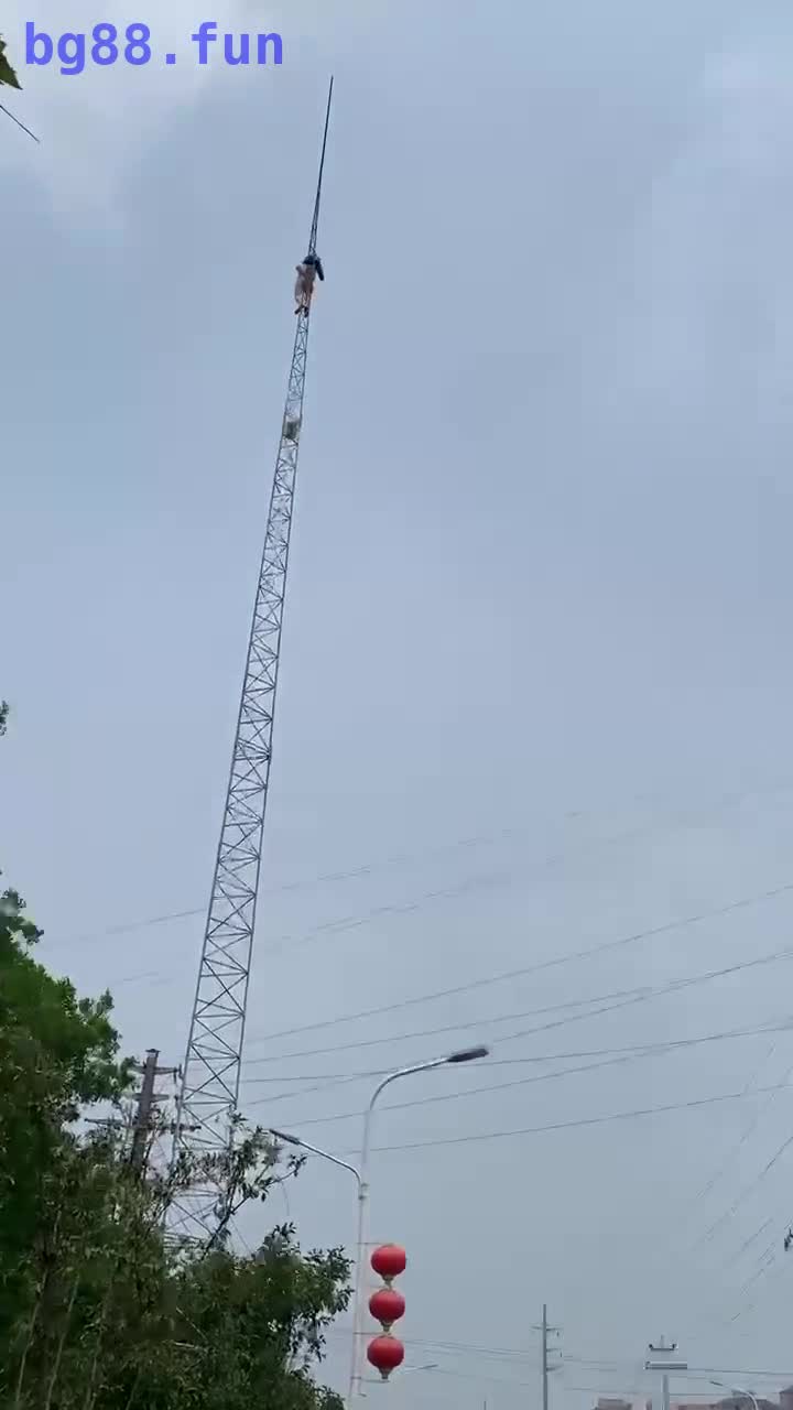 IMG_1412.MP4
