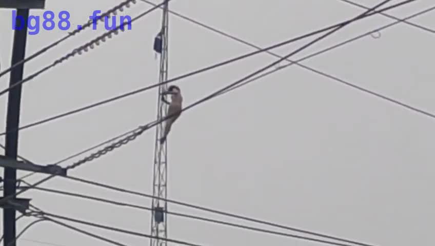 IMG_1408.MP4