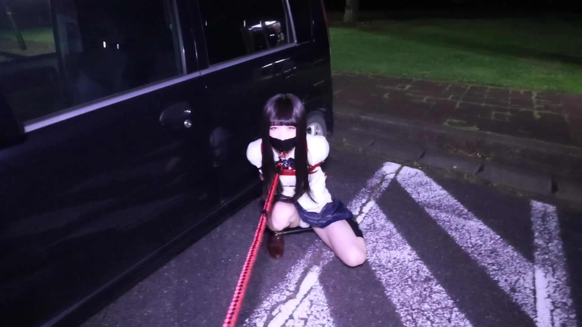 cfe9c30f_野外_散歩.mp4