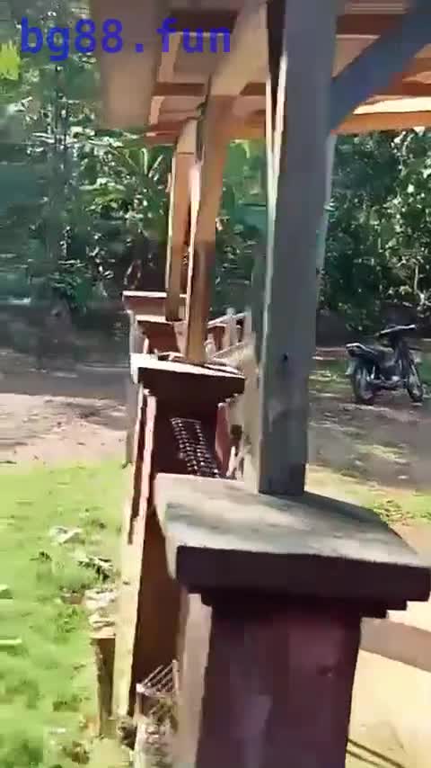 5月21日.mp4