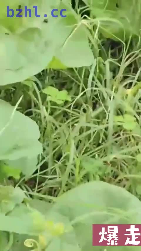 9月1日.mp4