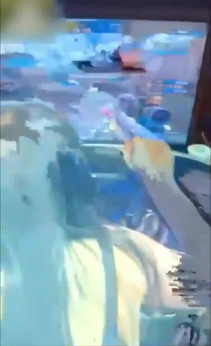 2.mp4