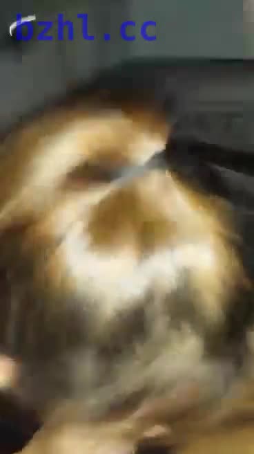 video-1472812324.mp4
