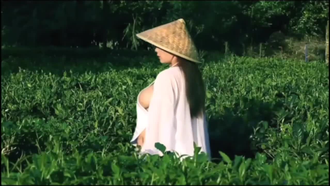 爱拍剪辑-20240220-1.mp4