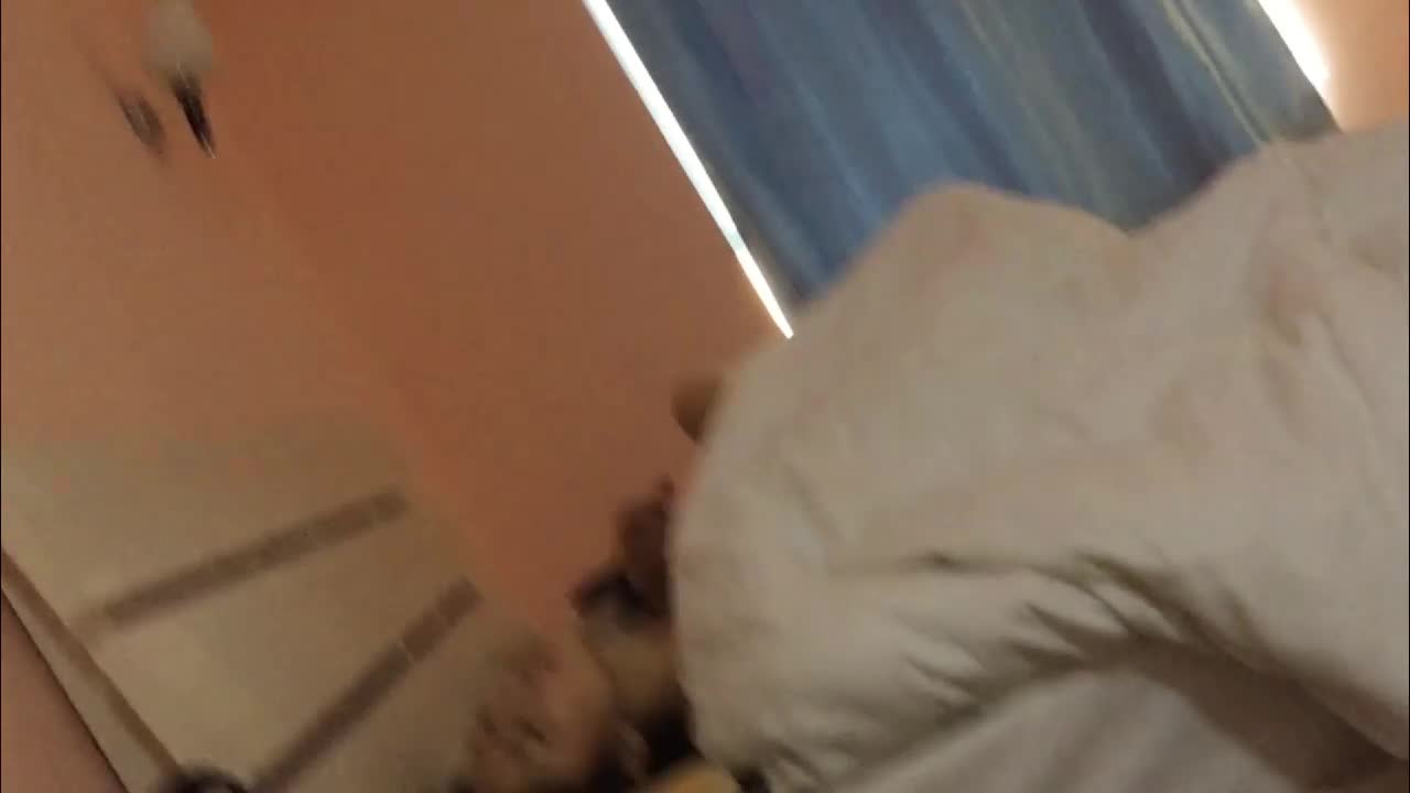 10月6日 (1).mp4