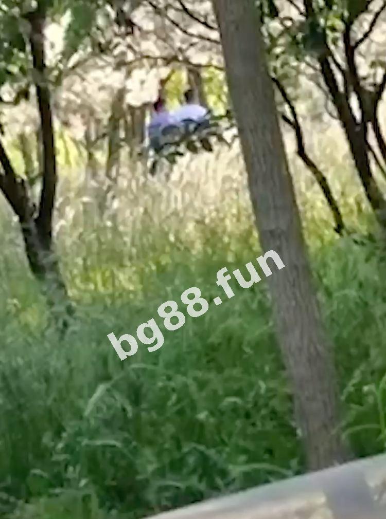 f9dc85a70f4b4b2b813a26853719e3cc.jpg