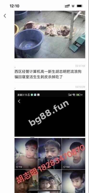 0292a96bb82f4ff9a21bf79ecc817e84.jpg