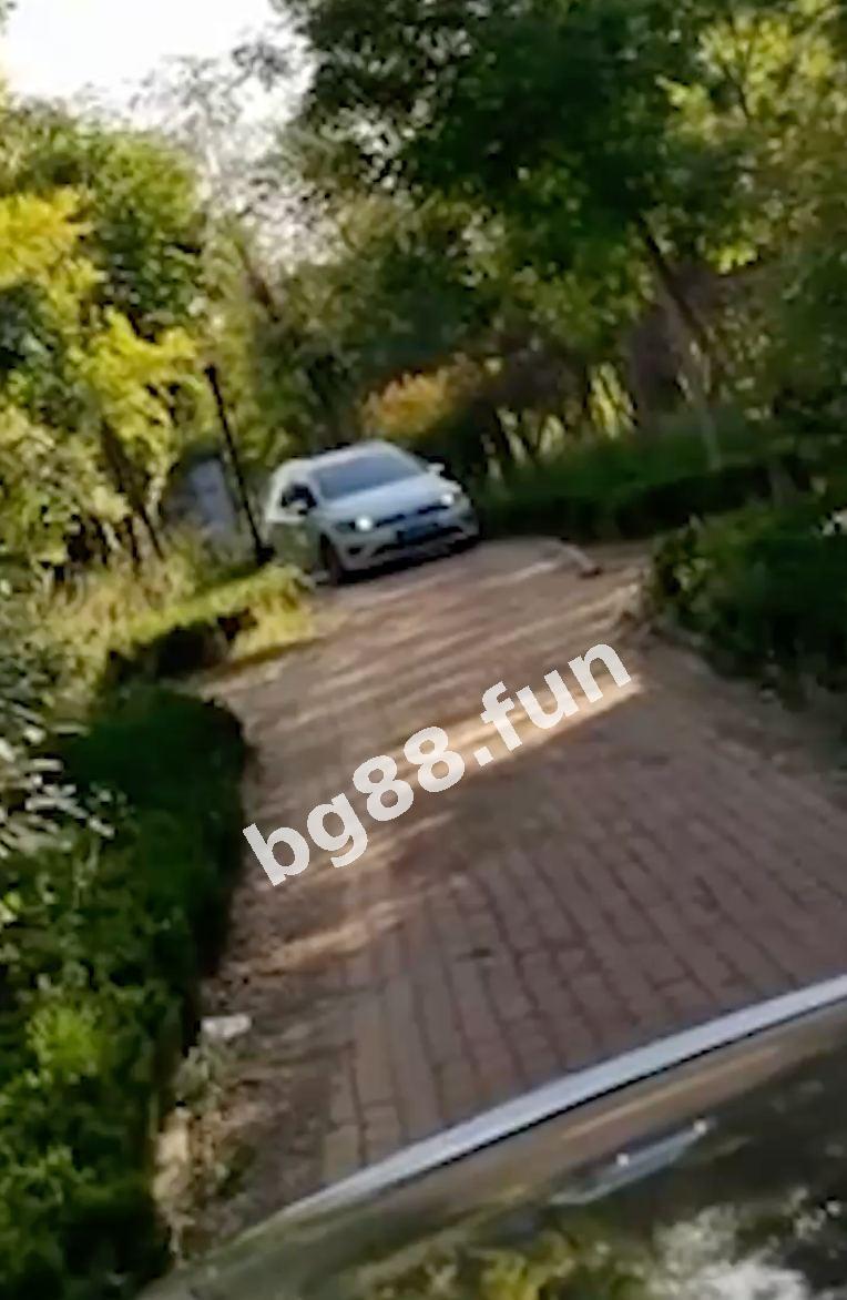 c837823c3d994bdf8306ad07272ab9e5.jpg