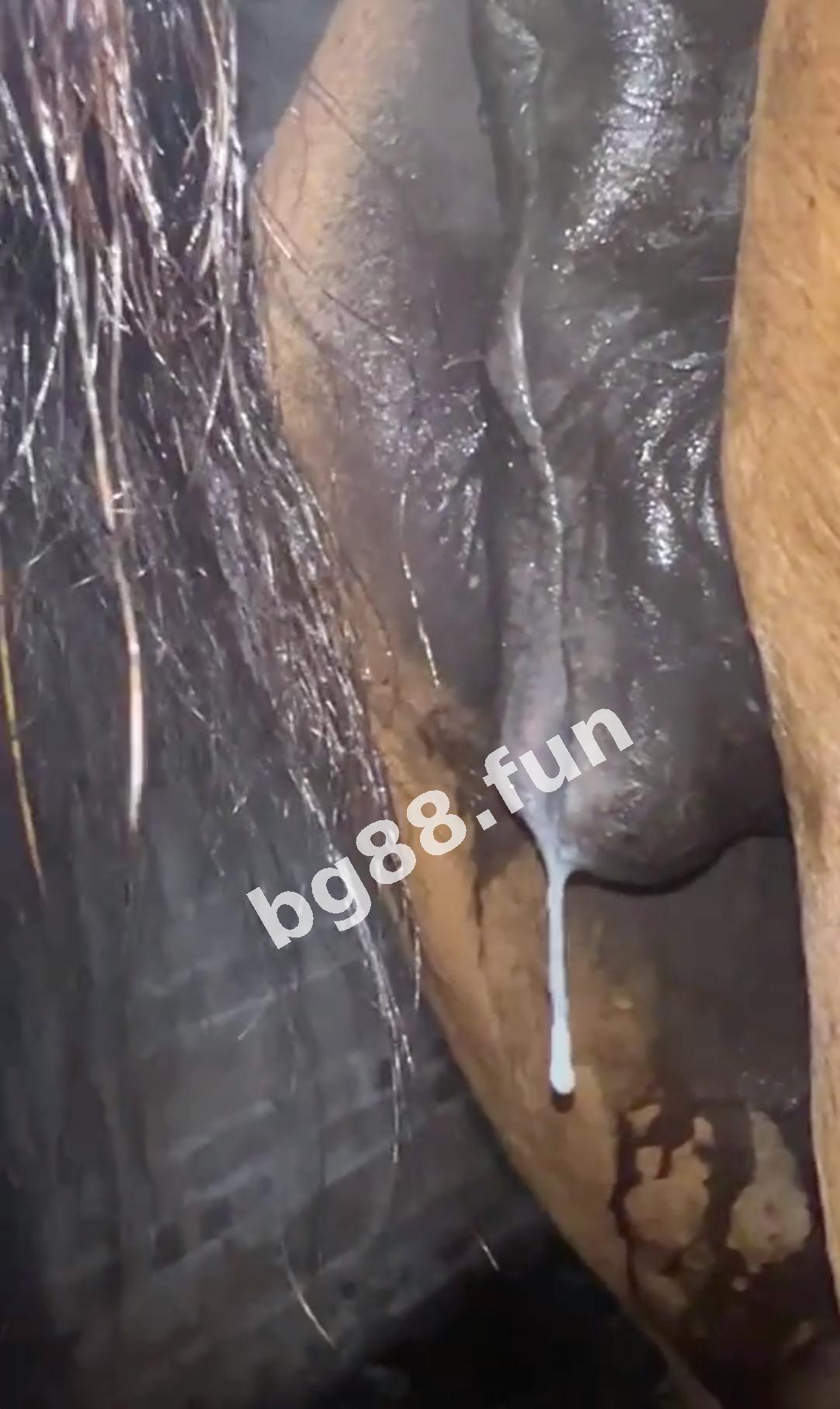 d67a73288c694156b6abf7e212e3e167.jpeg