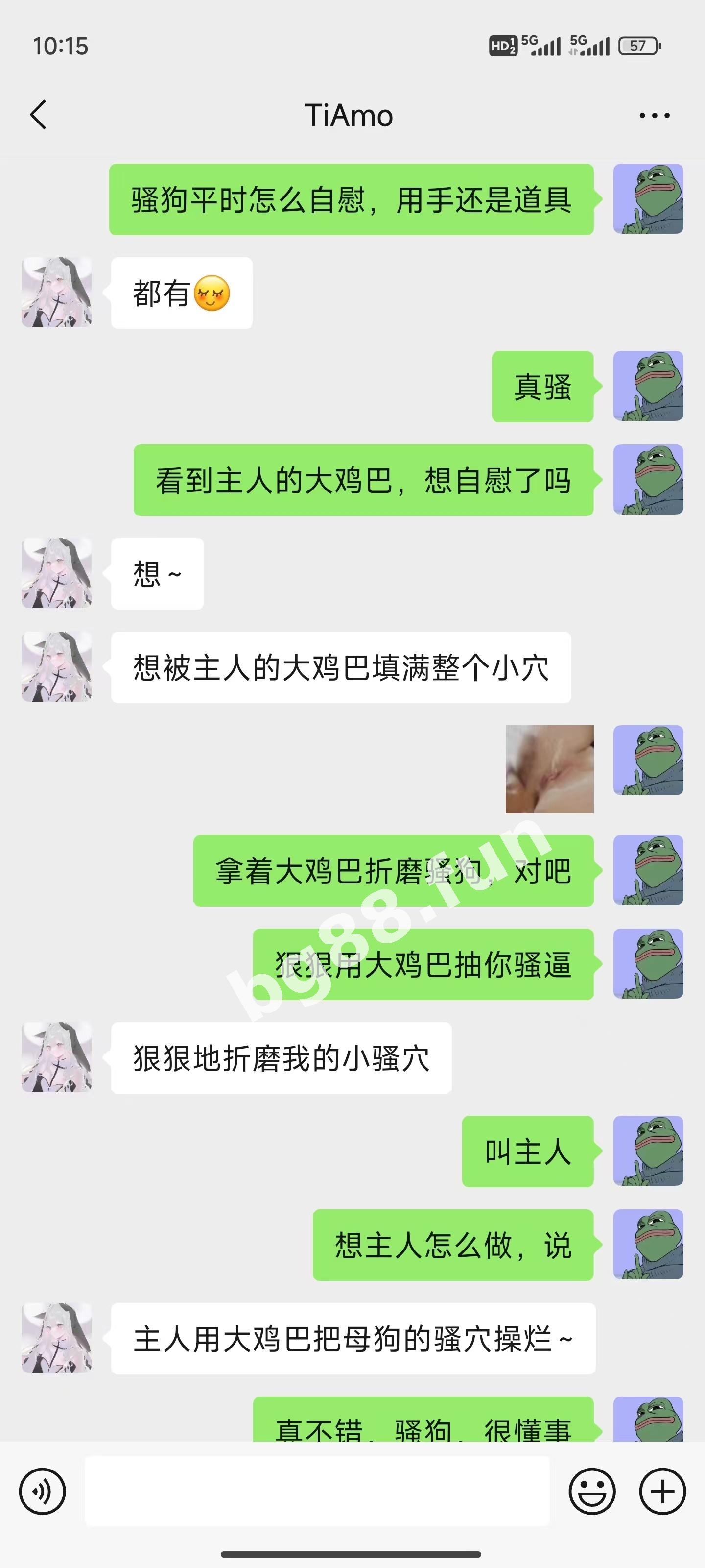 65d06c77cfe34a308e6768f2d8978ddf.jpeg