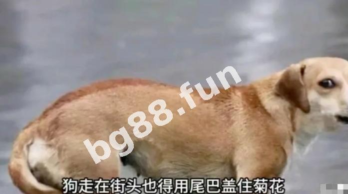 62efae17a0a1481ca8f6ac39c4403418.jpeg