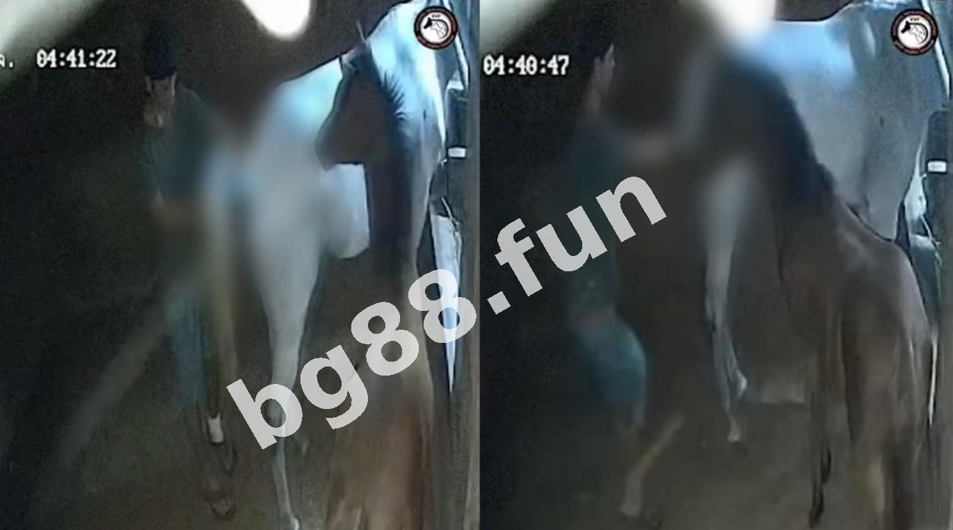ceba1f4f8ad04cb9893499a03c532d64.jpeg