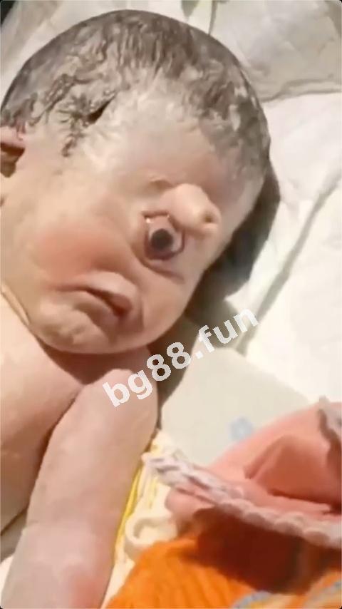 947b59fec0014c24b19256d9e880f616.jpeg
