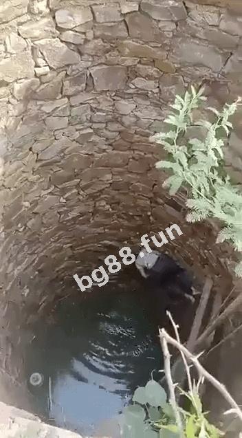 e610ee663b8447f39d04a1326ce66750.jpeg