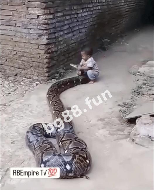 5e0fe040ed1b4c338abfc06dde2a0a3f.jpeg