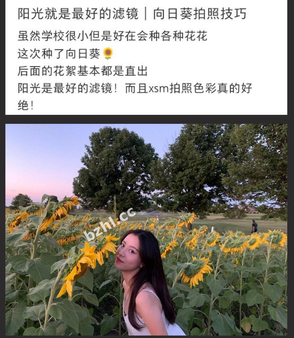 79acfd1d05694a58b27ecc1453325728.jpg
