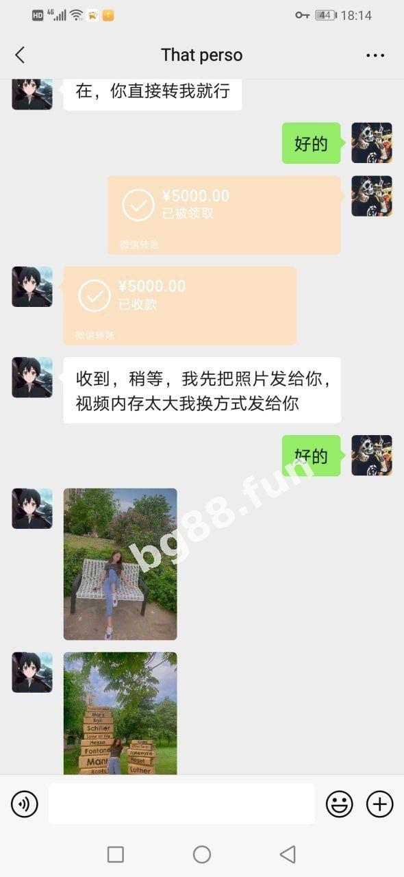 b18c3c854ac848b7ab0036c0ae0f7678.jpg