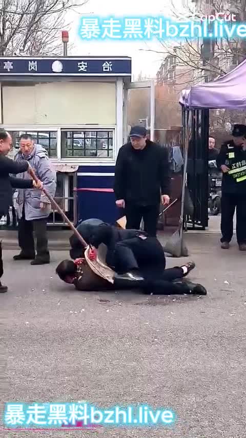 第一部视频_副本.mp4