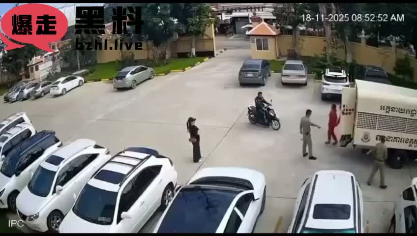 c3.mp4