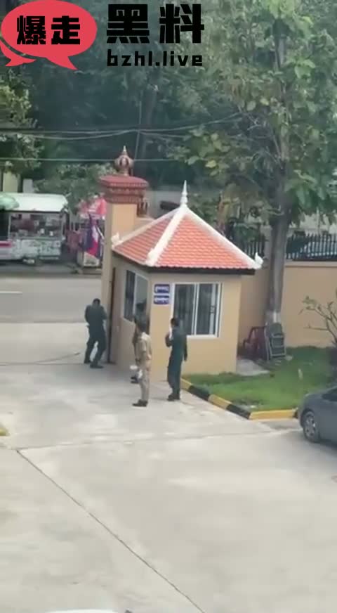 c1.mp4