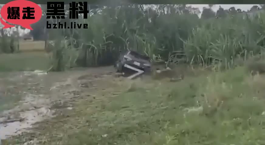 c4.mp4