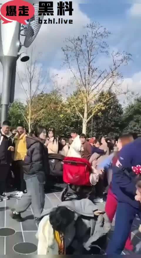 上海迪士尼乐园花车巡游区突发游客群殴事件！游客们拳脚相加场面十分火爆！
