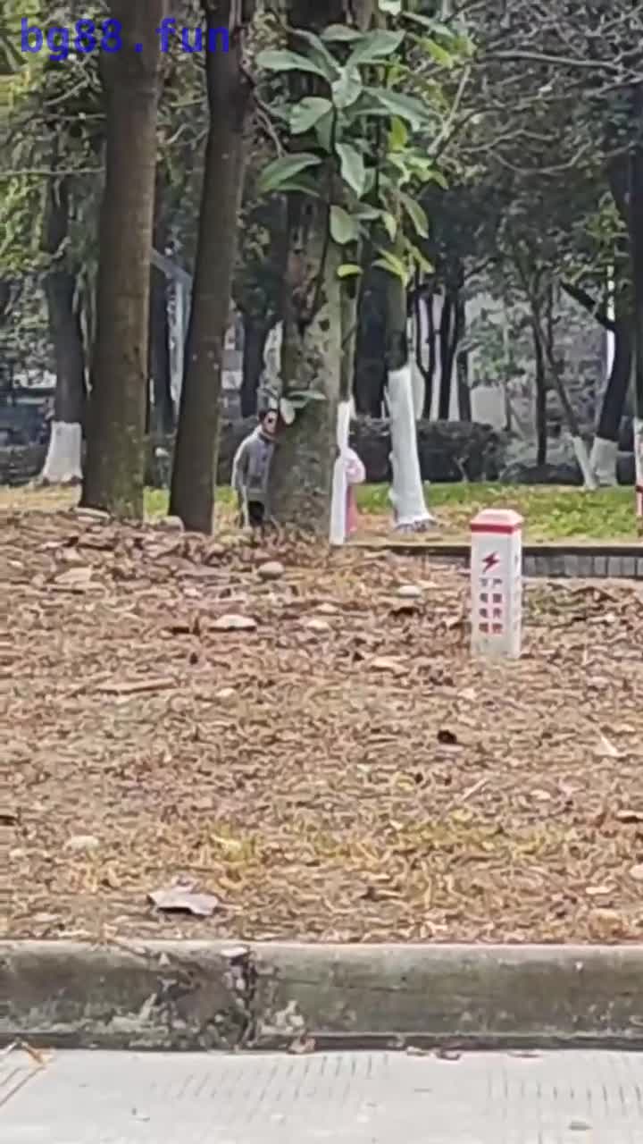 9d32070ec73617be75087d29ae4763c9.mp4
