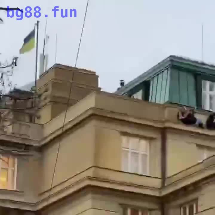 75c3bace3f9b6780255d73120996aea7.mp4