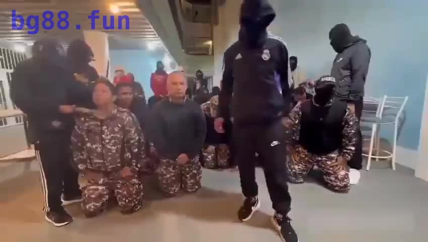 0.mp4