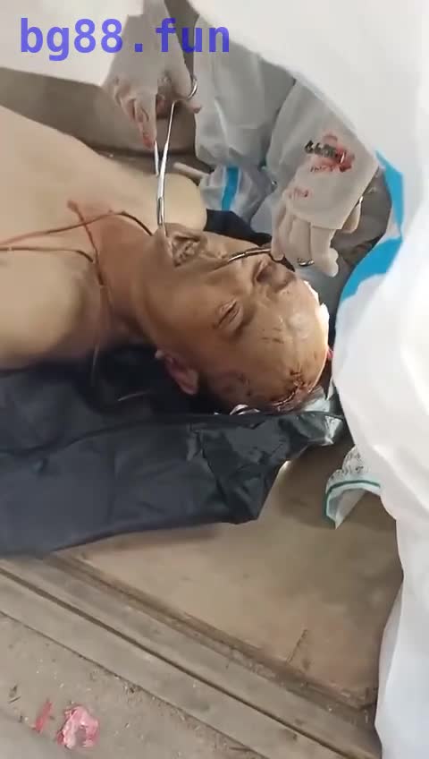 2023-11-16 22.33.47.mp4