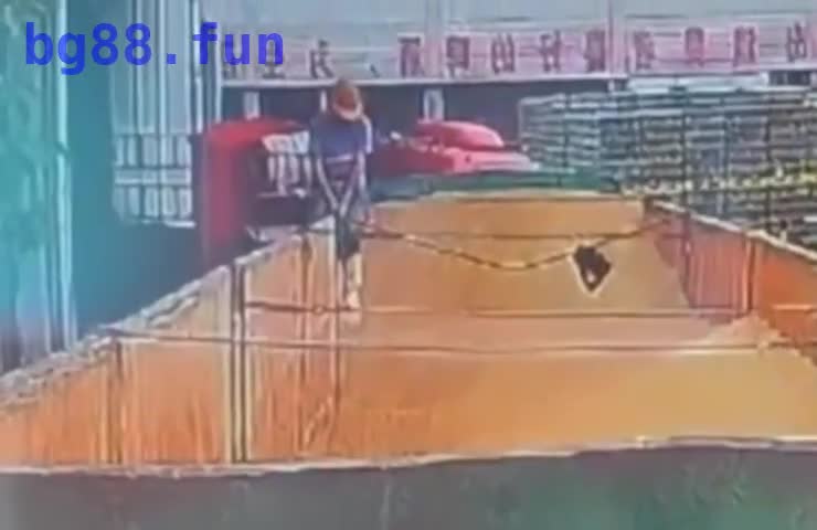 10月23日.mp4