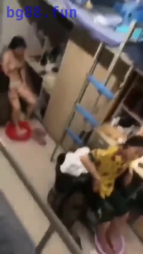 视频3.mp4