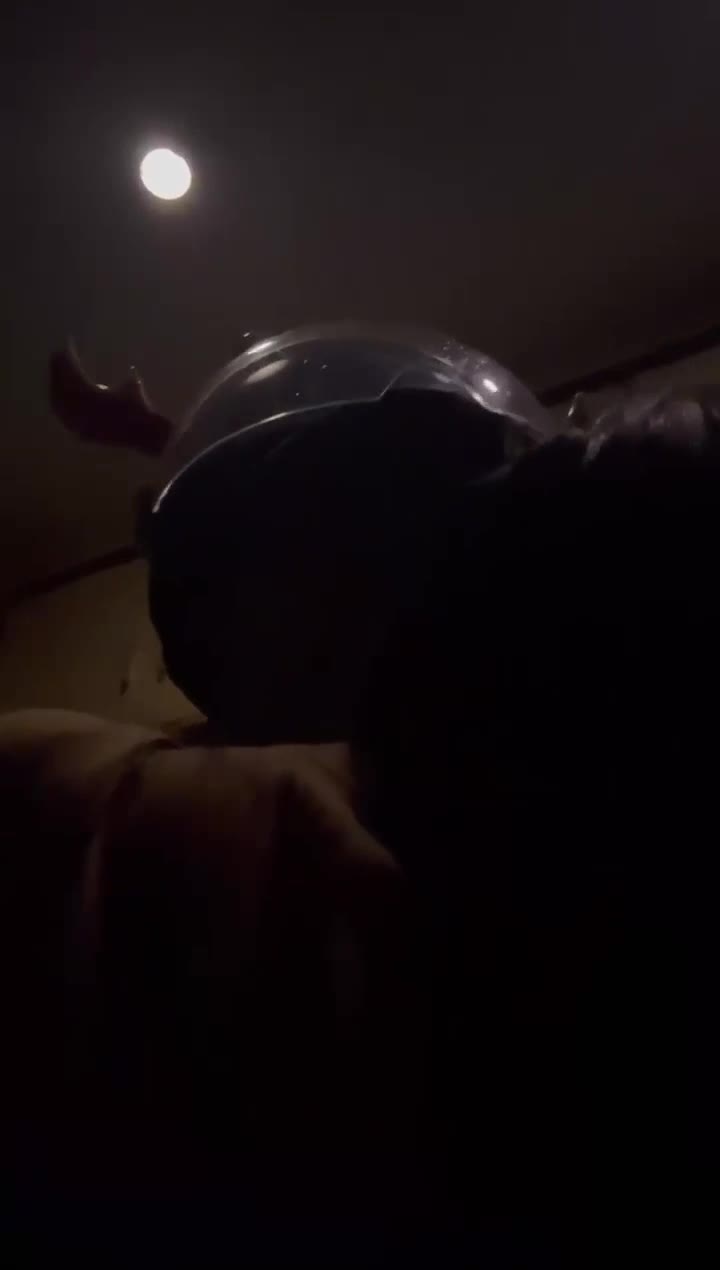 1.mp4