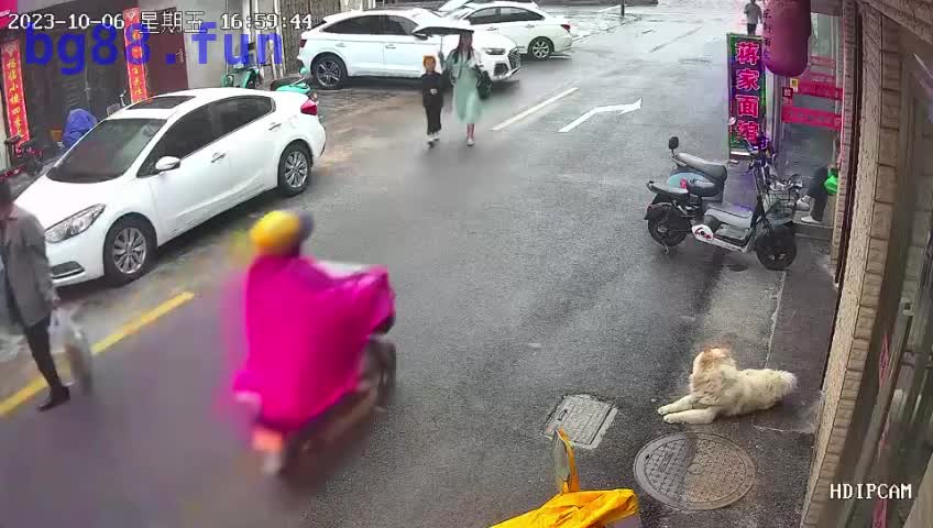 10月10日(1).mp4