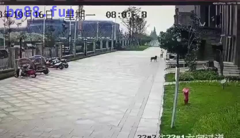 10月17日(1).mp4