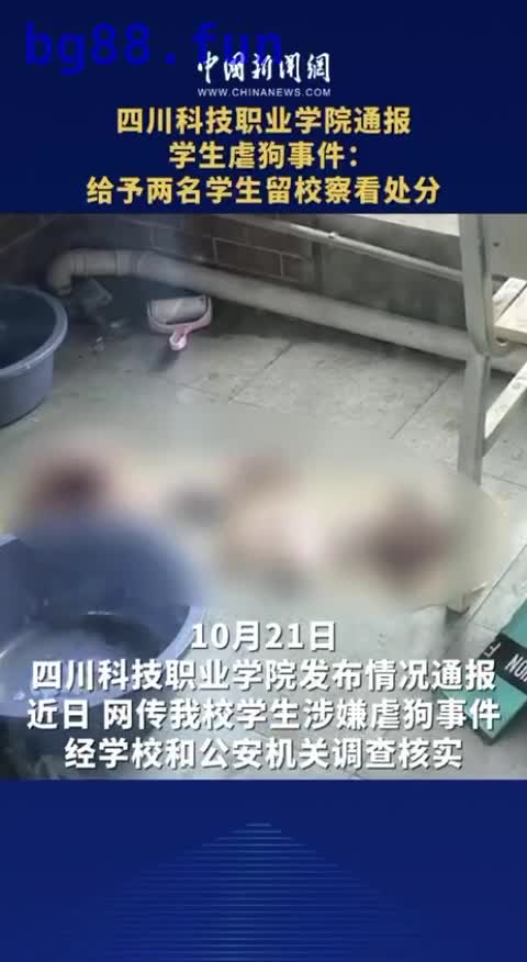 10月23日.mp4
